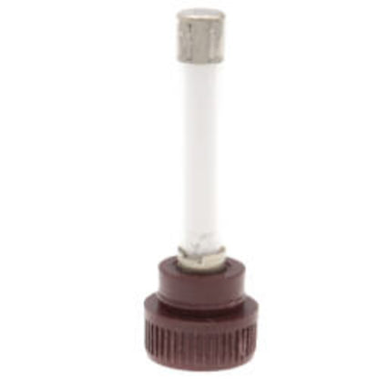 3.2 Amp Time-Delay In-Line Fuse (300V)