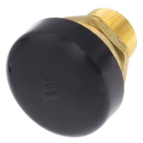 3/4" LFN36M1 Lead Free Water Service Vacuum Relief Valve